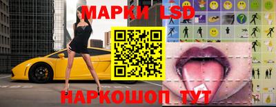 крисы Кулебаки