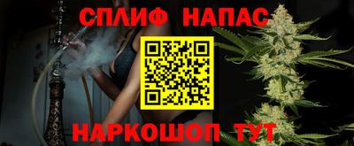 крисы Кулебаки