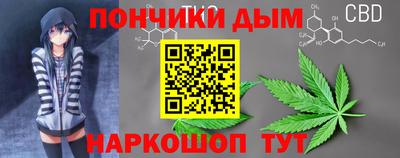 крисы Кулебаки