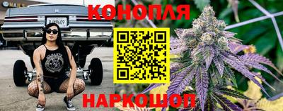крисы Кулебаки