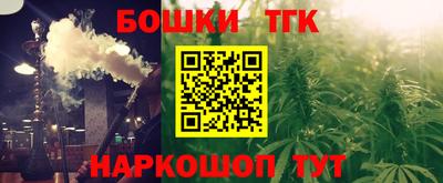 крисы Кулебаки