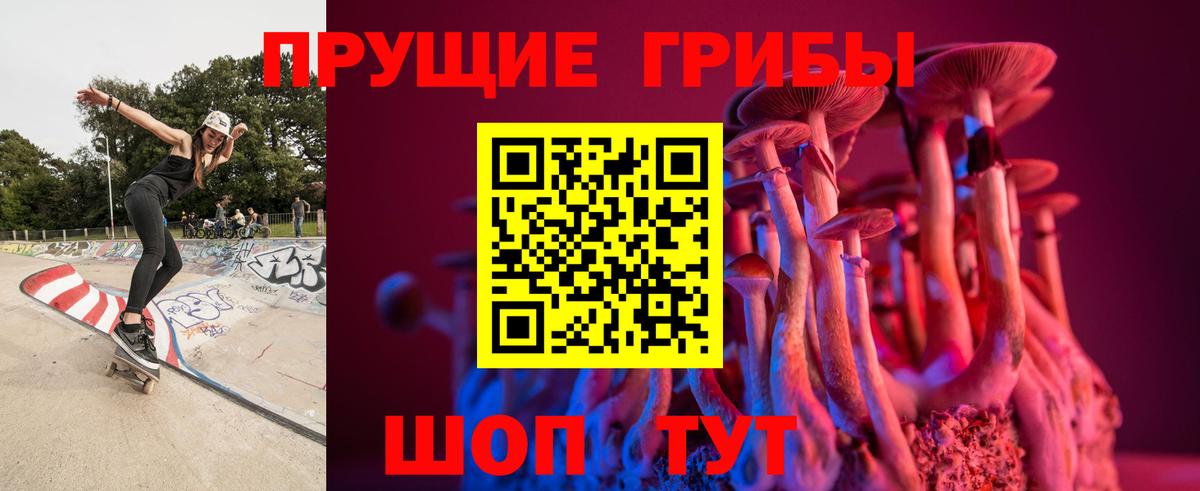 Галлюциногенные грибы Magic Shrooms Димитровград