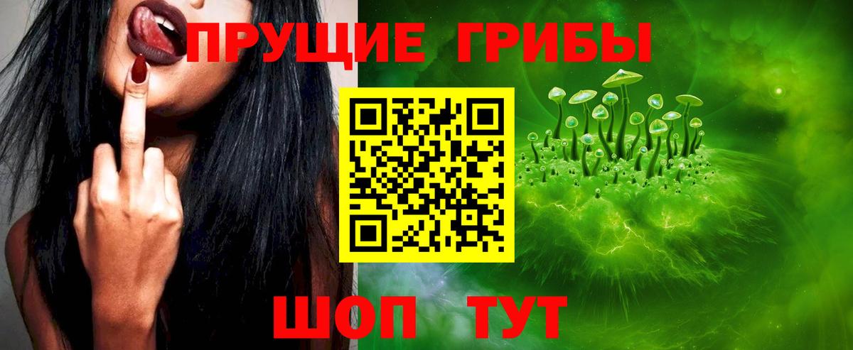 Димитровград  Псилоцибиновые грибы мицелий  Вход с VPN 